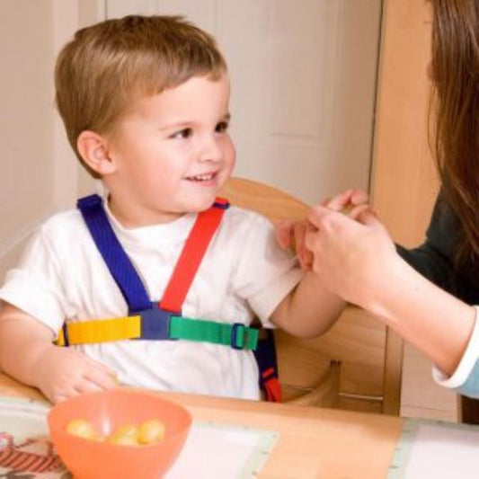 clippasafe harness & reins