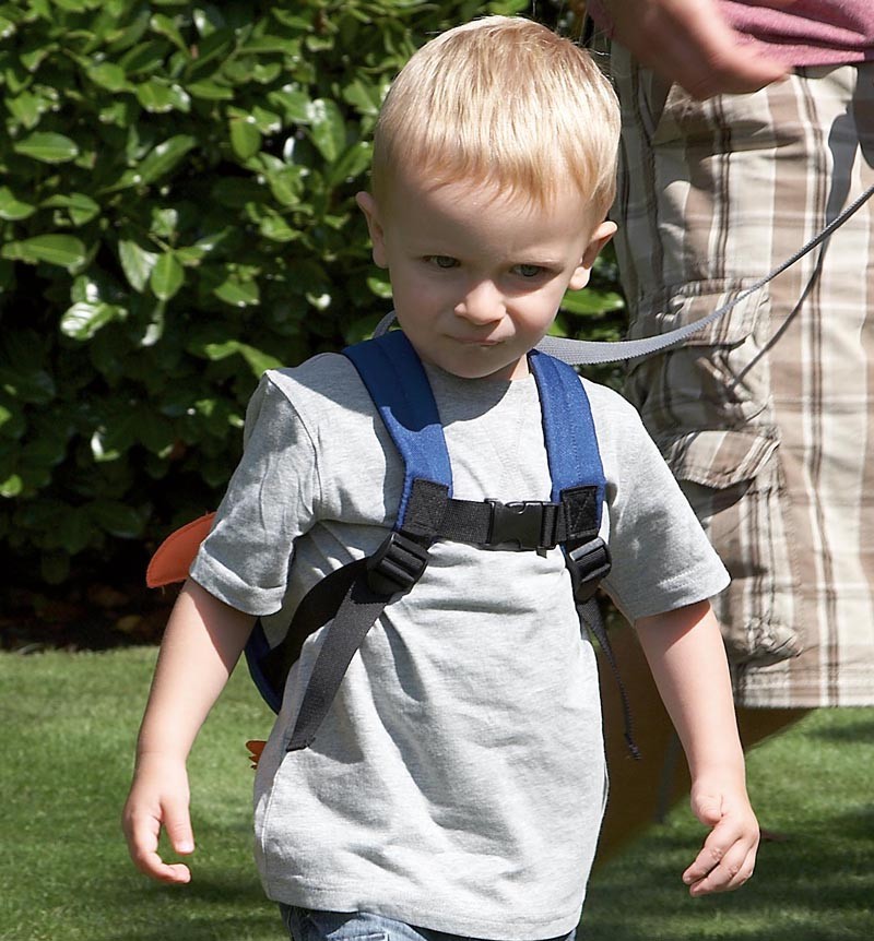 Clippasafe Toddler Daysack Complete with Detachable Rein