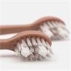 Spotlight Oral Care Sonic Toothbrush Replacement Heads