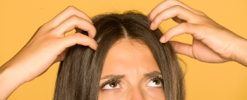 Head Lice
