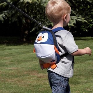 Clippasafe Toddler Daysack Complete with Detachable Rein