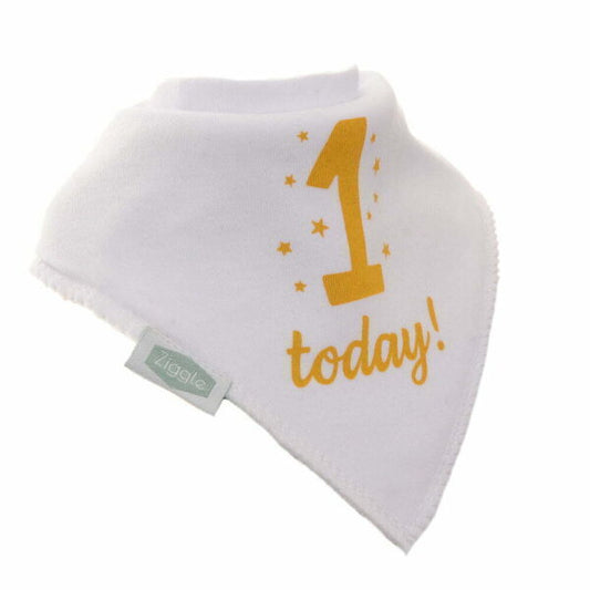 Ziggle Bandana Bib  1 Today